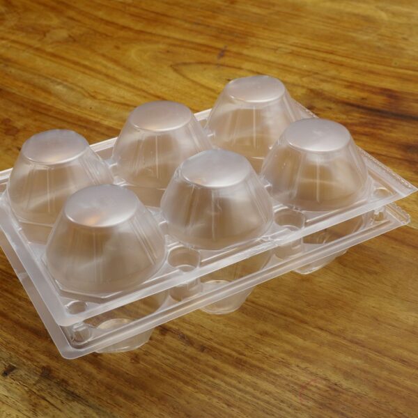 Plastic Egg Cartons