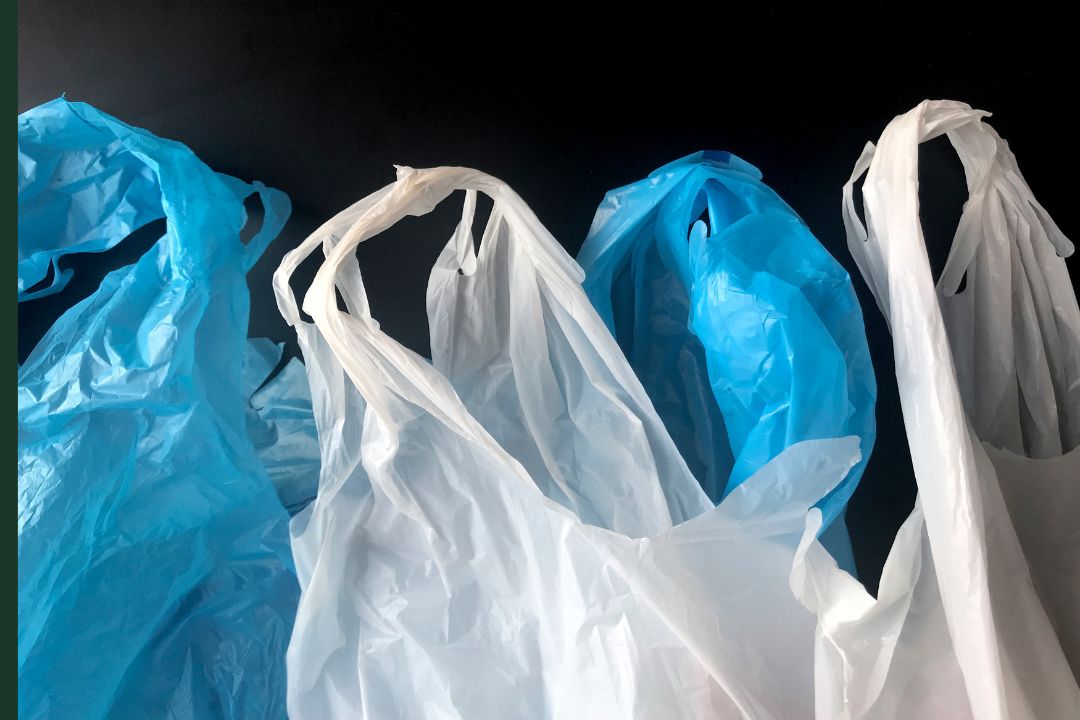 Polyethylene (PE) plastic bags