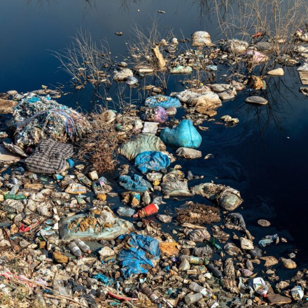 A coastline covered in trash